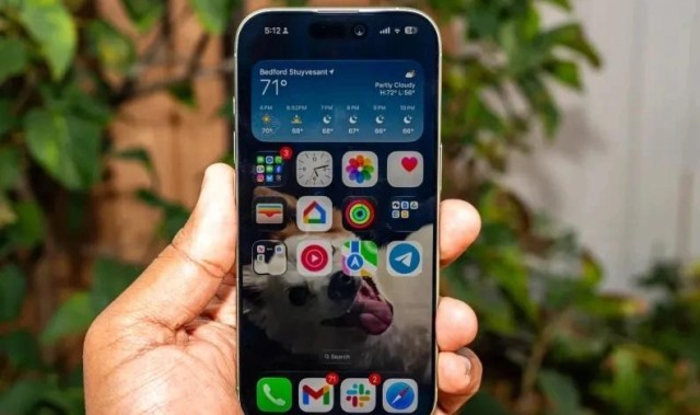 kaiyun-iPhone17最新618价格确定，256GB下跌700元，降价后值得买吗？